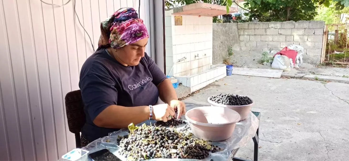 aronya meyvesi suyuna yogun ilgi 13Yf5Frw