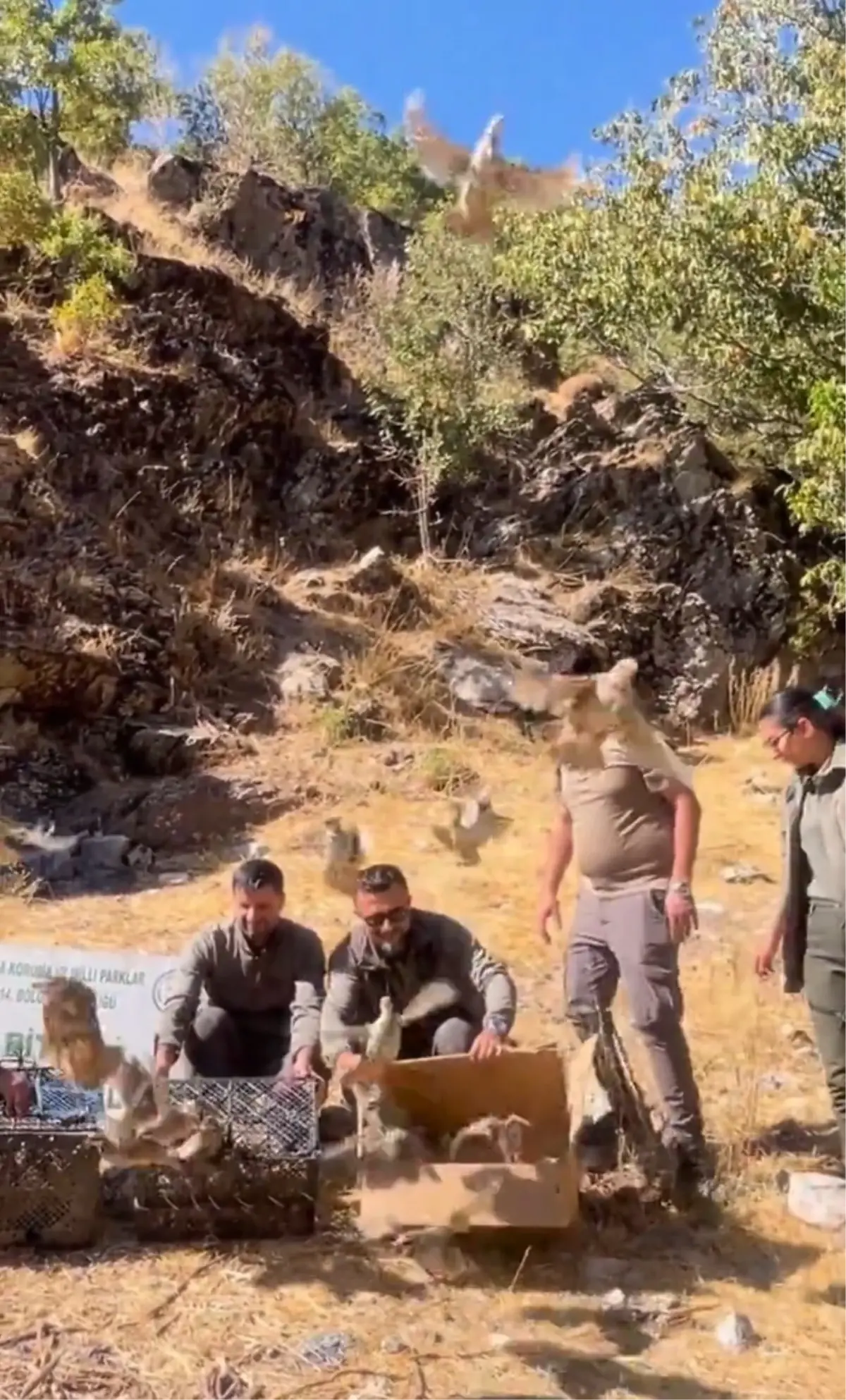 bitliste 90 kinali keklik dogaya salindi 8igIqXGl