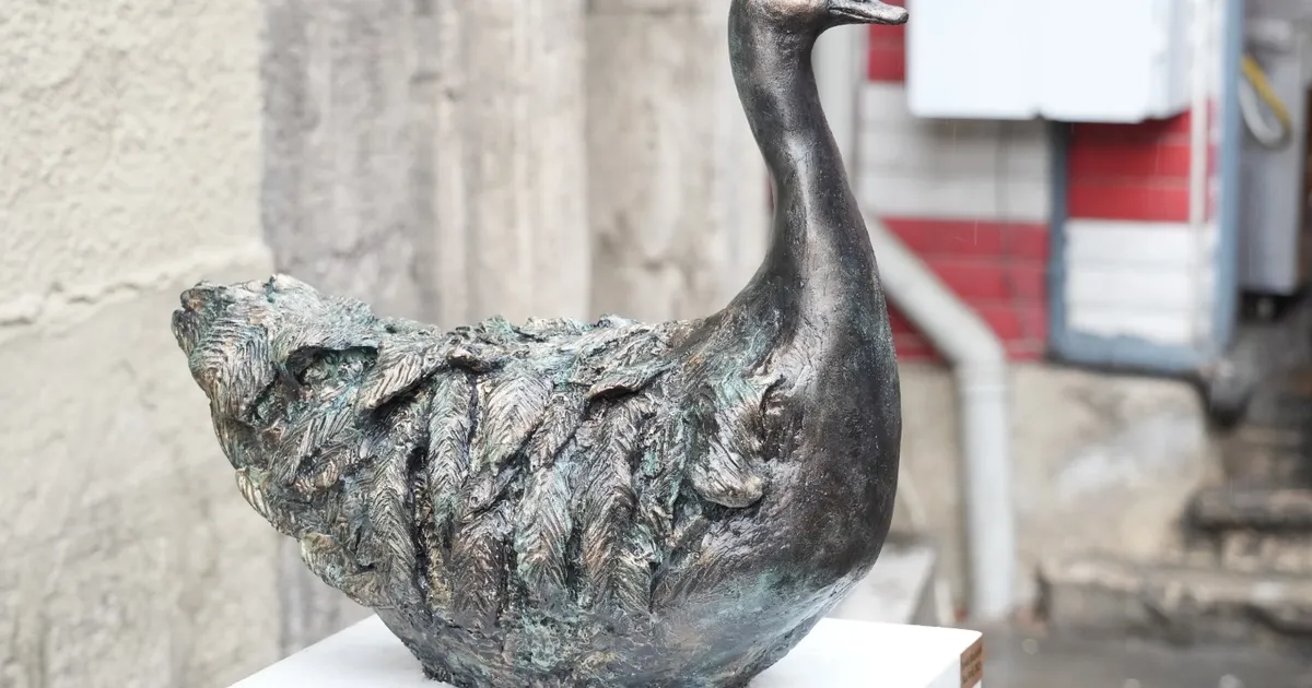 kadikoyun maskotu rodi yeniden carsida HsYBBp7Z