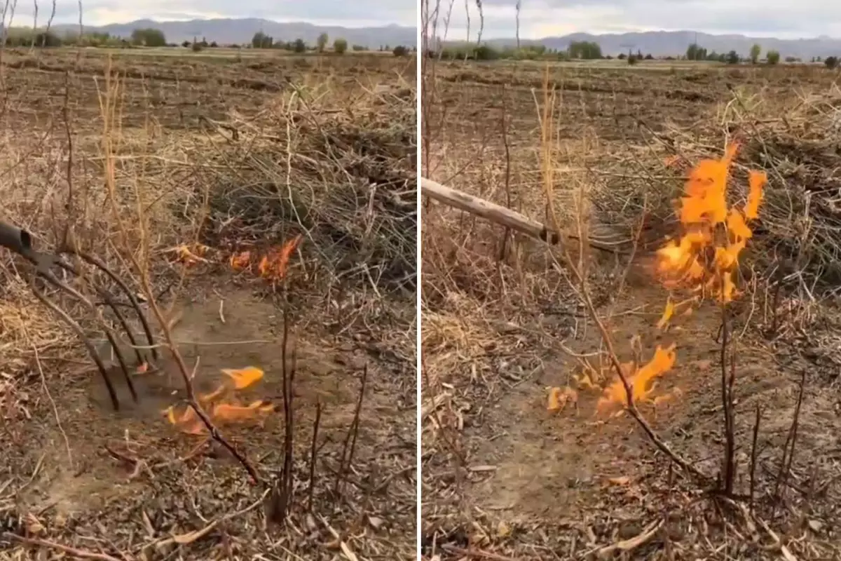 vatandas paylastigi video ile yetkililere seslendi ilimizin kurtulusu olabilir i2iVublz.jpg